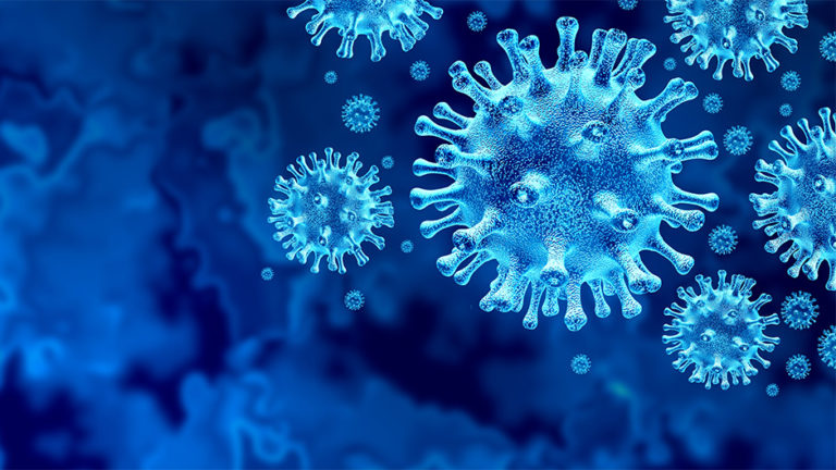 Navodila slovenskih škofov za velikonočne praznike 2020 v času epidemije COVID-19