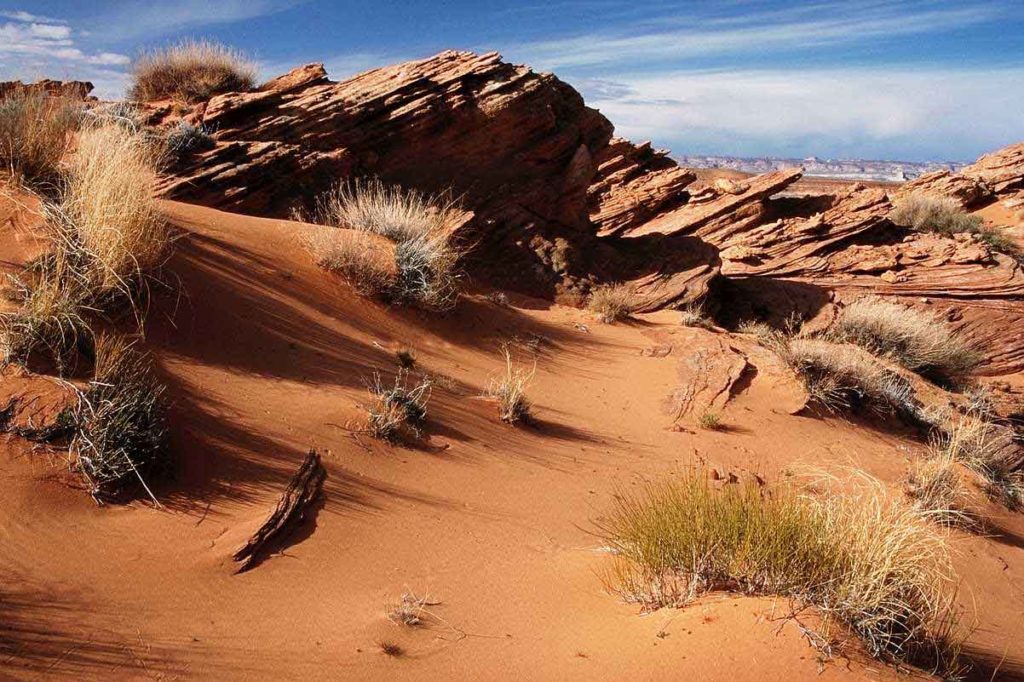 desert